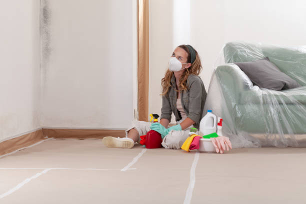 Reliable Mold Remediation contractor in Wayne, PA by WQB Mold Removal